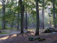 2016-10-09 Les gorges d Apremont 0004